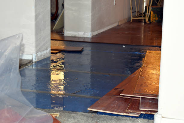 Professional Water Extraction technician working in Sandy Lake, PA